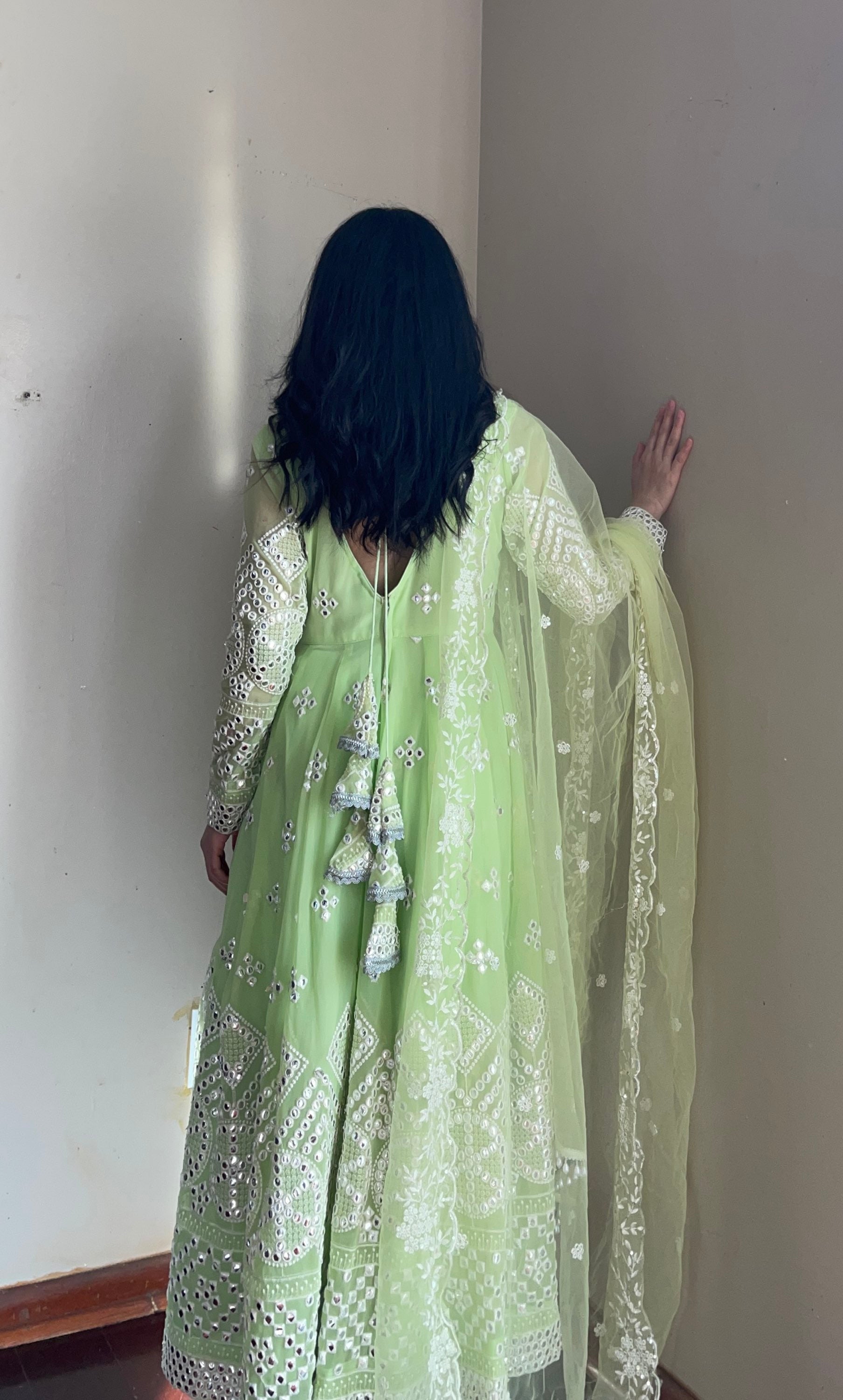 The Anarkali Suit image 6